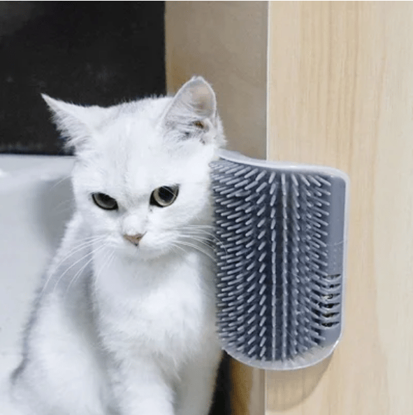 Cat Self Grooming Massage Toy Brush