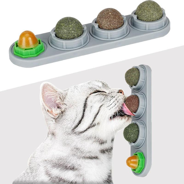 Multi-Functional Cat Wellness Treat