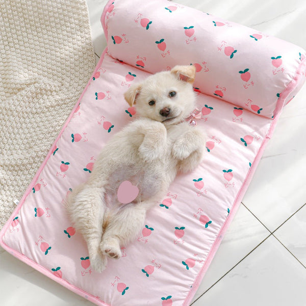 Pet Summer Cool Bed Ice Silk Cooling Mat for Dogs & Cats